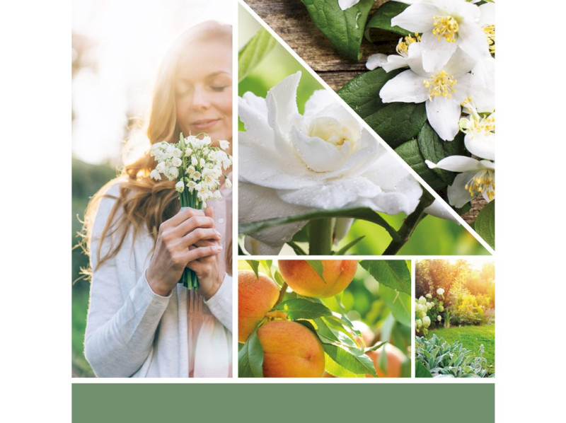 40482_WHITE GARDENIA - KOPIE